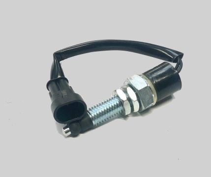 Parking brake switch