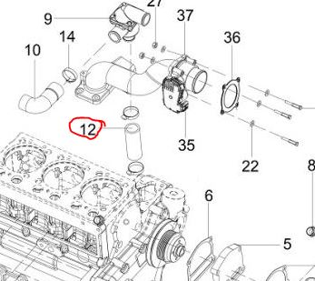 Hose (Thermostat To water pump)