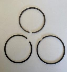 Piston Ring Set Assy ( D100-L-W ) FM