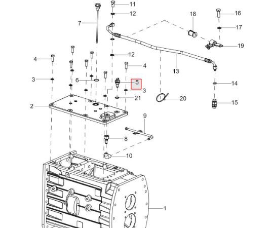 Neutral safety switch