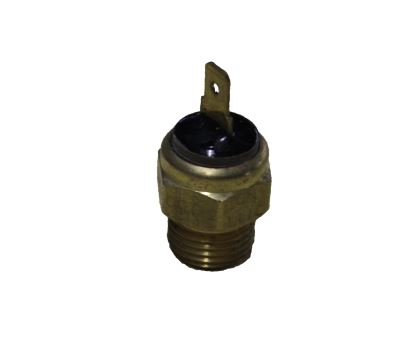 Switch Assy. Thermo (30N4600500)