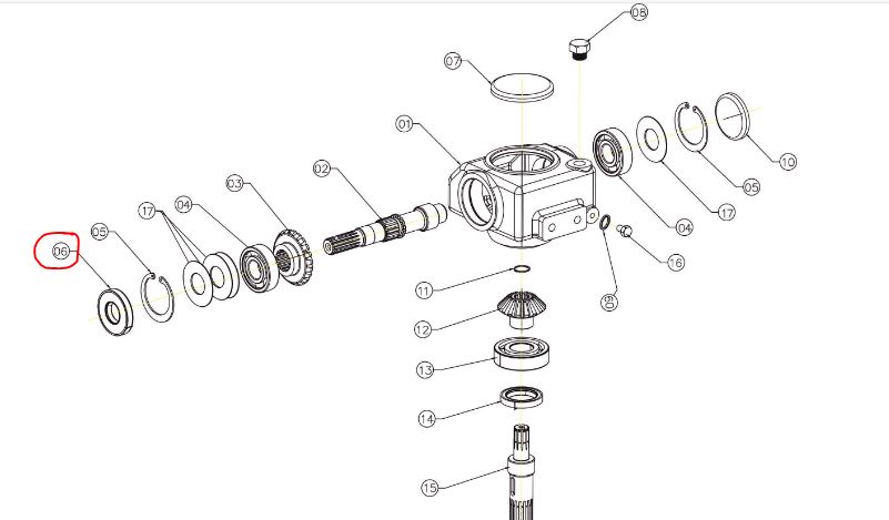 Oil Seal